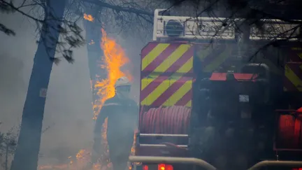 Pour prévenir les incendies, les massifs de la Clape, des Pinèdes Crémades et de Fontfroide, dans l'Aude, seront fermés jusqu'à la fin de l'été