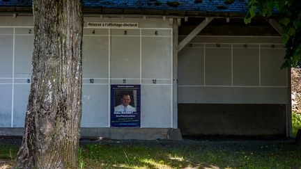 Les panneaux d'affichage électoraux&nbsp;de&nbsp;Chantenay-Villedieu (Sarthe) en mai 2017. (MATTHIEU MONDOLONI / RADIO FRANCE)