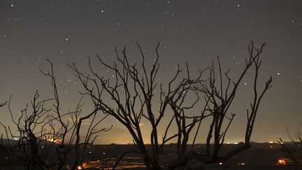 En Californie, un feu a ravag&eacute; plus de 1 400 hectares dans la r&eacute;gion de Victorville, le 18 juillet 2015.&nbsp; (DAVID MCNEW / GETTY IMAGES NORTH AMERICA / AFP)