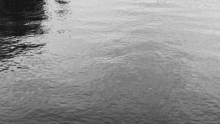 La Seine depuis le Pont-Neuf à Paris (DAVID FRITZ-GOEPPINGER POUR FRANCEINFO)