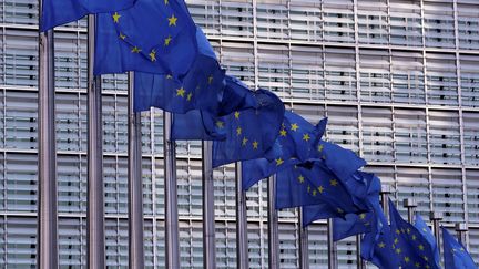 Des drapeaux européens devant la Commission européenne, à Bruxelles, le 19 février 2020. (YVES HERMAN / REUTERS)