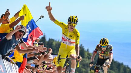 Le Slovène Tadej Pogacar a remporté la septième étape du Tour de France en domptant la Super Planche des Belles Filles, le 8 juillet 2022. (DAVID STOCKMAN / BELGA MAG / AFP)