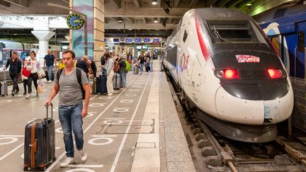 Illustration&nbsp;d'un train TGV à la gare de&nbsp;Montparnasse, à Paris, le 19 août 2022.&nbsp; (STEPHANE MOUCHMOUCHE / AFP)