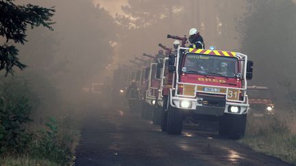 Les pompiers luttent contre un incendie de pin&egrave;de, &agrave; Saint-Jean-d'Illac (Gironde), le 24 juillet 2015. (MAXPPP)