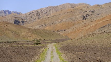 En Ethiopie, des millions d'abres plantés