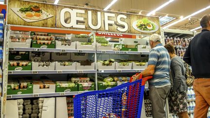 Alimentation : le prix des œufs s’envole avec le retour de la grippe aviaire en France