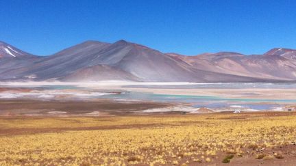 &nbsp; (Désert d'Atacama© Elsa Ruiz Bouissou)