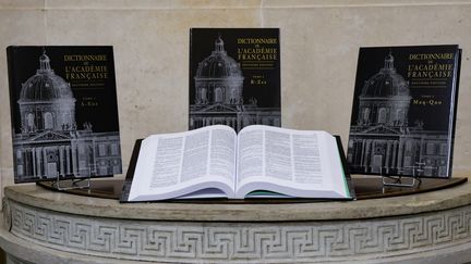 La neuvième édition du Dictionnaire de l'Académie française, à l'Institut de France à Paris, le 14 novembre 2024. (LUDOVIC MARIN / POOL / AFP)