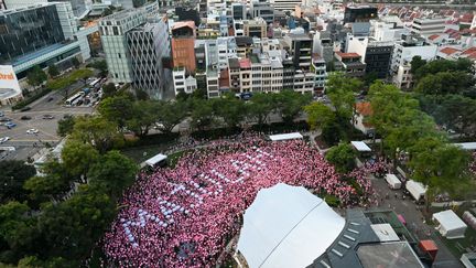 Le rassemblement annuel "Pink Dot" (Point rose) en soutien aux personnes LGBT+ à Singapour, le 18 juin 2022.&nbsp; (ROSLAN RAHMAN / AFP)