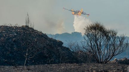 Un Canadair largue sa cargaison d'eau sur les flammes (illustration). (AURÉLIEN THIRARD / RADIO FRANCE)