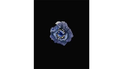 Bague Bal bleu nuit de Dior Joaillerie
 (Erwan Frotin)