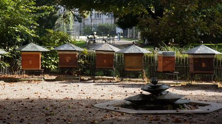 &quot;Elle m&#039;a appris qu&#039;on y produit également du miel qui, lui, est vendu au public au début de l&#039;automne.
- La pépinière et les ruches se trouvent dans le sud du jardin, vers la rue Auguste Comte. Le miel aussi est bon, paraît-il, mais je n&#039;y ai jamais goûté, savez-vous pourquoi? Les abeilles négligent la petite source d&#039;eau qu&#039;on a créée exprès pour elles et préfèrent s&#039;abreuver à la pissotière qui est réservée aux joueurs de boules.&quot;
 (Laurence Houot / Culturebox)