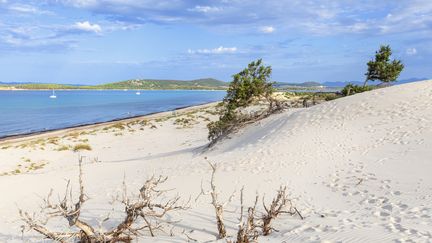 Sardaigne : le sable qui peut coûter cher