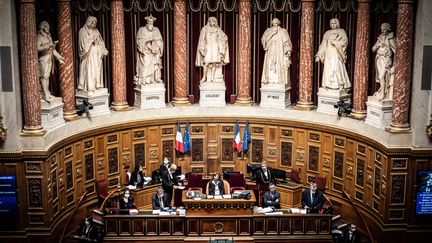 Session publique de questions au gouvernement, au Sénat, le 9 décembre 2020. (XOSE BOUZAS / HANS LUCAS / AFP)