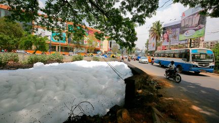 Les eaux du lac Belladur recouvertes de mousse toxique, le 22 mars 2017 à Bangalore en Inde. (JAGADEESH NV / EPA / MAXPPP)