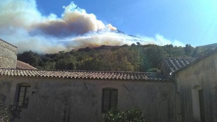 Un incendie s'est déclaré, dimanche 22 octobre,&nbsp;entre Ville di Parasu et Novella (Haute-Corse)&nbsp; (FRANCE 3 VIASTELLA)