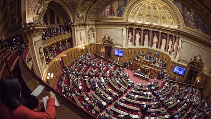 Les sénateurs au Palais du Luxembourg, à Paris, le 17 novembre 2016.&nbsp; (LIONEL BONAVENTURE / AFP)