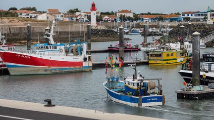 Des chalutiers dans le port de la Côtinière à Saint-Pierre d'Oléron, le 12 septembre 2022.&nbsp; (XAVIER LEOTY / MAXPPP)