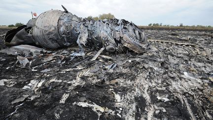 L'avion s'est d&eacute;sint&eacute;gr&eacute;, laissant de larges d&eacute;bris dans les champs, pr&egrave;s d'une route de campagne, &agrave; proximit&eacute; de la ville de&nbsp;Shaktarsk, dans l'est de l'Ukraine. (DOMINIQUE FAGET / AFP)