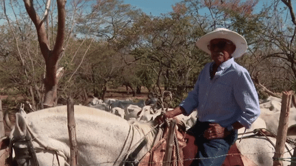 Costa Rica : sur la péninsule de Nicoya, les centenaires sont légion (France 2)