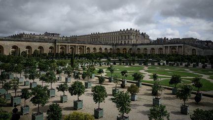 Les parterres de l'Orangerie du château de Versailles, en octobre 2019 (PHILIPPE LOPEZ / AFP)