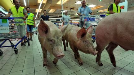 Des agriculteurs du Lot-et-Garonne&nbsp;l&acirc;chent trois cochons dans un supermarch&eacute; d'Agen pour protester contre les prix d'achats de la grande distribution, le 22 juillet 2015. (DDM JEAN MICHEL MAZET / MAXPPP)