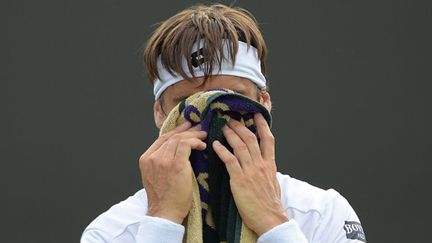 David Ferrer éliminé dès le 2e tour à Wimbledon (CARL COURT / AFP)