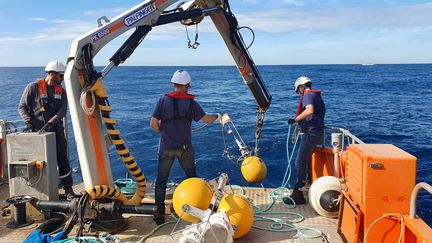 Des hydrophones immergés dans les grands fonds au large de Toulon pour écouter les cétacés, le 20 octobre 2024. (BORIS HALLIER / RADIO FRANCE)