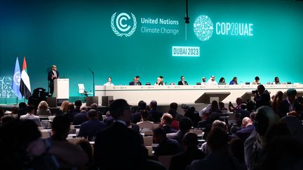 La COP28, aux Émirats arabes unis, le 1er décembre 2023. (JAKUB PORZYCKI / ANADOLU)