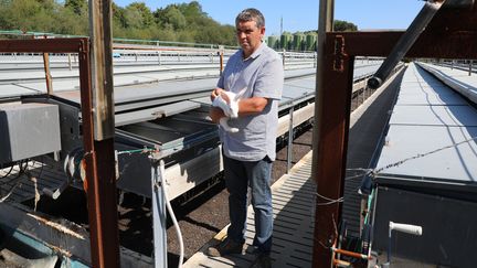 Patrick Pilon tient un de ses lapereaux devant des cages de plein air, le 22 août 2019, à Saint-Longis (Sarthe). Derrière lui, une antenne-relais soupçonnée d'être impliquée dans la mort de milliers de lapins. (YANN THOMPSON / FRANCEINFO)