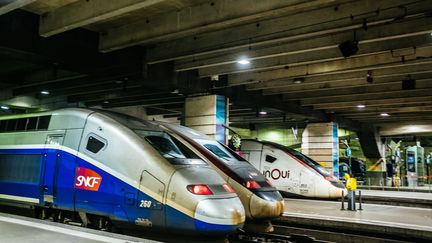 Des trains à quai, à la gare Montparnasse, à Paris, le 28 décembre 2019. (MATHIEU MENARD / HANS LUCAS)