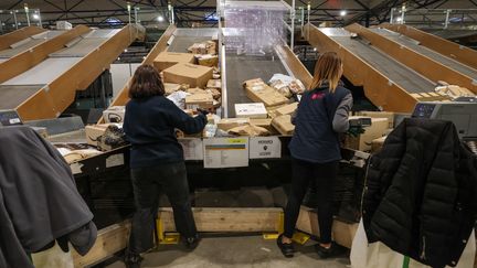 Employees of a private company sorting packages on conveyor belts, December 5, 2023. (DENIS CHARLET / AFP)