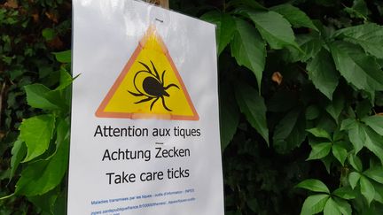 Une affiche appelant à la prudence contre les tiques dans la campagne bretonne. (AURÉLIE LAGAIN / RADIO FRANCE)