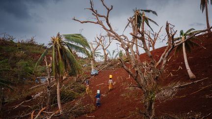 Des Mahoraises grimpent une colline au milieu de débris et d'arbres tombés en transportant des bidons d'eau dans le village de Bouyouni, le 19 décembre 2024. (DIMITAR DILKOFF / AFP)