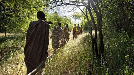 Leur région est très hostile: température élevée, terre pauvre, eau potable rare, animaux sauvages et insectes dangereux. Il est pratiquement impossible d’avoir accès à des soins médicaux. Les femmes accouchent seules et 20% des enfants meurent dans leur première année, 50% avant l'âge de 15 ans. Ils subissent discrimination et exclusion de la part de leurs voisins, agriculteurs, éleveurs de bétail et pasteurs qui convoitent leurs terres. Forêts et brousse sont rasées. Ce qui entraîne de très nombreux problèmes comme la fuite des animaux, et l’abattage des arbres où vivent les abeilles.  (Matthieu Paley)