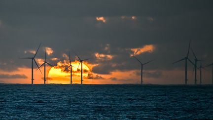 Un parc éolien offshore au large de Saint-Nazaire (Loire-Atlantique), le 25 novembre 2022. (FRANCK DUBRAY / MAXPPP)