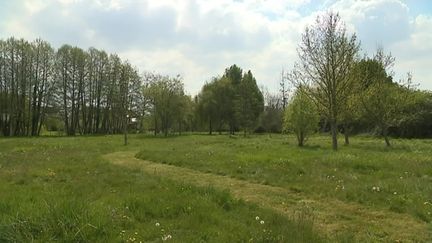 Valframbert dans l'Orne passe à l'éco tonte. (CAPTURE D'ÉCRAN FRANCE 3)