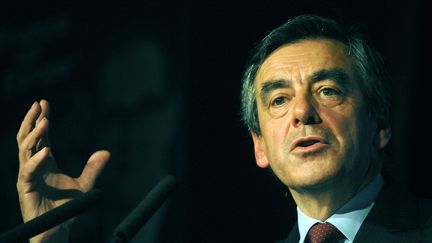 Lors d'un meeting de Fran&ccedil;ois Fillon pour la campagne des &eacute;lections europ&eacute;ennes, le 22 mai 2014 &agrave;&nbsp;Vertou (Loire-Atlantique).&nbsp; (JEAN-FRANCOIS MONIER / AFP)