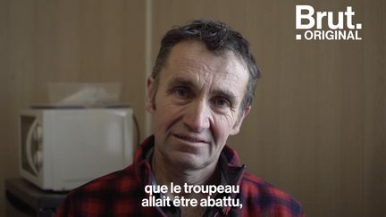 VIDEO. Brucellose : Il se bat pour empêcher que ses 218 vaches soient tuées (BRUT)