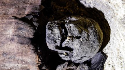 Toutes les momies "sont en bon état de conservation", assure le ministère égyptien des Antiquités. (MOHAMED EL-SHAHED / AFP)