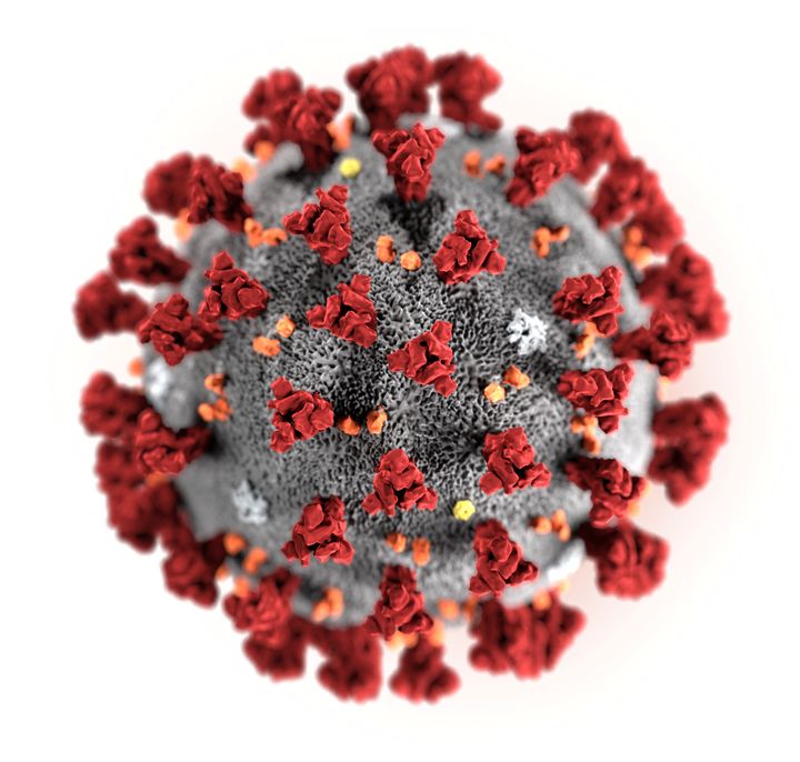 Une visualisation du coronavirus 2019-nCoV publiée par le Centre pour le contrôle et la prévention des maladies américain, le 29 janvier 2020. (HANDOUT . / X80001)