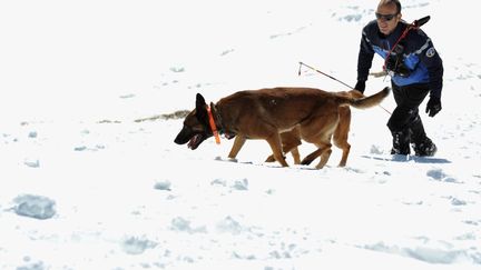 Neige : l'indispensable travail des pisteurs, chargés de vérifier l'état des domaines