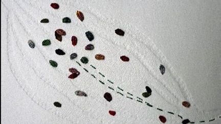 Gaufrage sur papier ; points de broderie et points de dentelle en inclusion dans le papier.
 (Atelier 80)