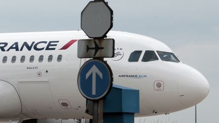 Un avion de la compagnie Air France à l'aéroport Roissy Charles-de-Gaulle, le 21 juin 2012. (JACQUES DEMARTHON / AFP)