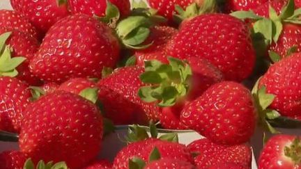 fraises&nbsp; (FRANCE 2)