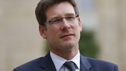 Pascal Canfin, devant le palais de l'Elysée, le 18 juin 2015. (THOMAS SAMSON / AFP)