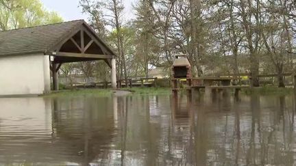 Crue dans l'Yonne : l'heure est au constat (France 2)