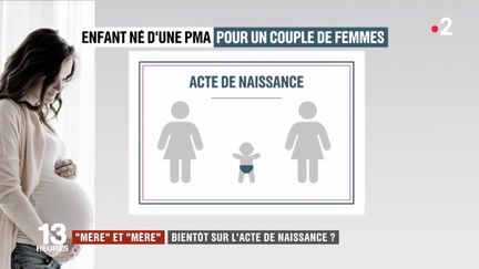 Le termes "mère" et "mère" apparaitront à l'état civil, pour les enfants nés par PMA au sein d'un couple de femmes. (FRANCE 2)