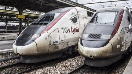 Des TGV Lyria, qui relient Paris et Genève, à la gare de Lyon, le 29 mars 2018. (YANN CASTANIER / HANS LUCAS / AFP)