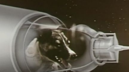 3 novembre 1957 : la chienne Laïka s'envole pour l'espace